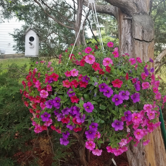 Meet your Posher, Iwona - Picture 2 of 3